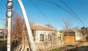 Фотография Енот Чистоплот 1