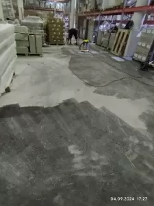 Фотография Фрау Клининг 2